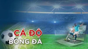 Tìm Hiểu Cá Cược Bóng Đá 33Win Sân Chơi Đỉnh Cao Cho Fan Bóng Đá