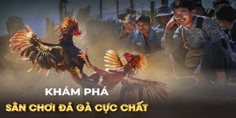Cách Chơi Đá Gà GA28 Tại 33Win Cơ Hội Thắng Lớn Trong Tầm Tay