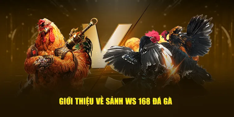 Cách Chơi Đá Gà WS168 Tại 33Win Hấp Dẫn Nhất