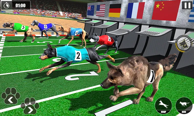 Bí Quyết Thắng Đậm Với Cách Chơi Game Nhanh Đua Chó Tại 33Win