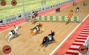 Bí Quyết Thắng Đậm Với Cách Chơi Game Nhanh Đua Chó Tại 33Win