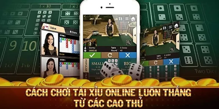 Cách Chơi Tài Xỉu Nhà Cái 33Win Dễ Thắng Nhất Hôm Nay