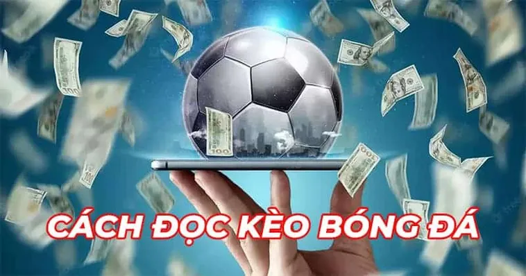 Tìm Hiểu Cá Cược Bóng Đá 33Win Sân Chơi Đỉnh Cao Cho Fan Bóng Đá